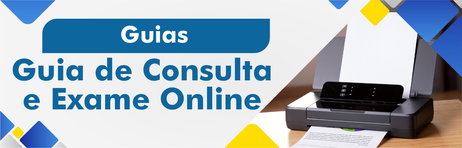 Emita sua guia online